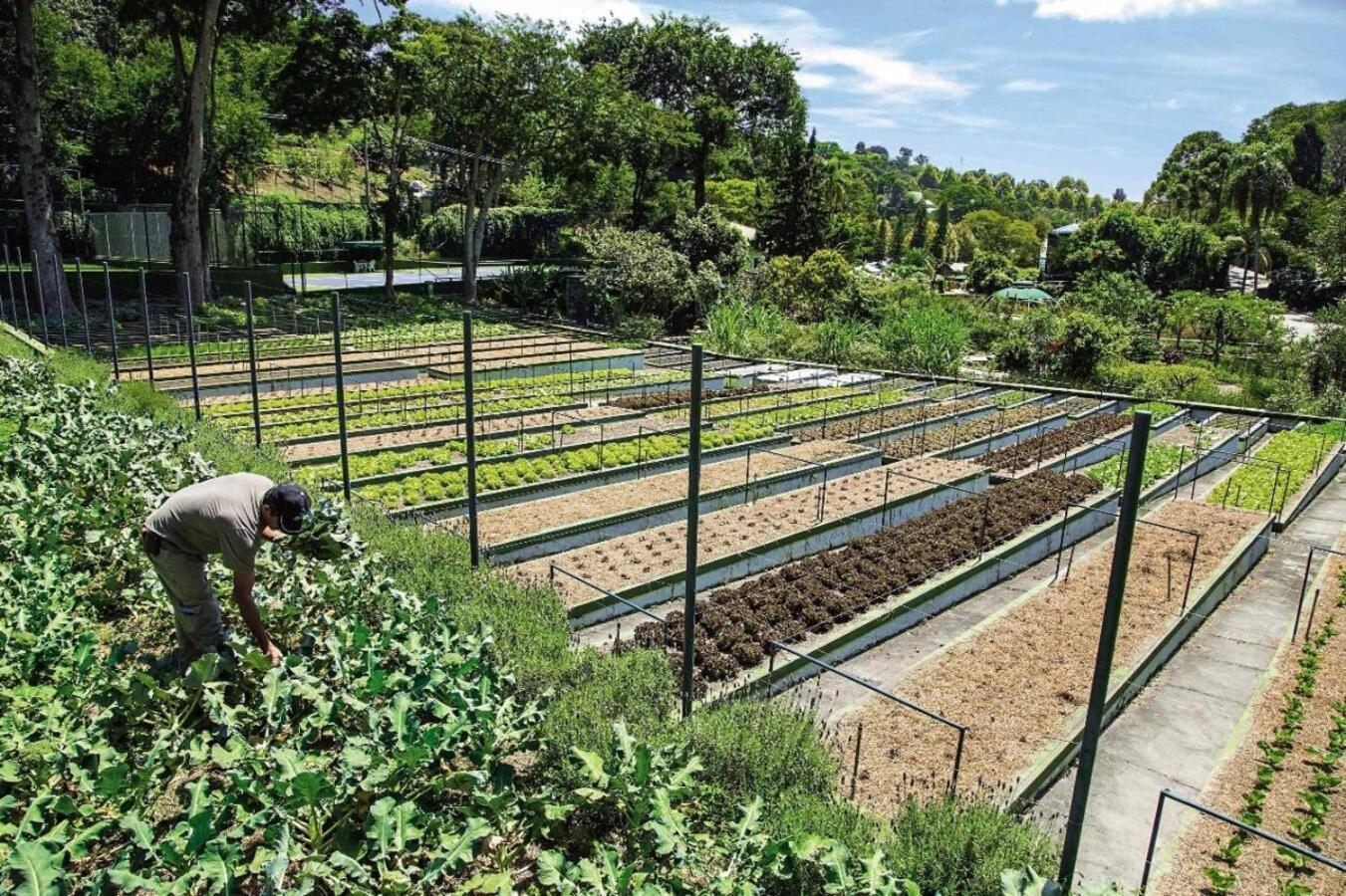 Unique Garden Hotel Mairipora Luaran gambar