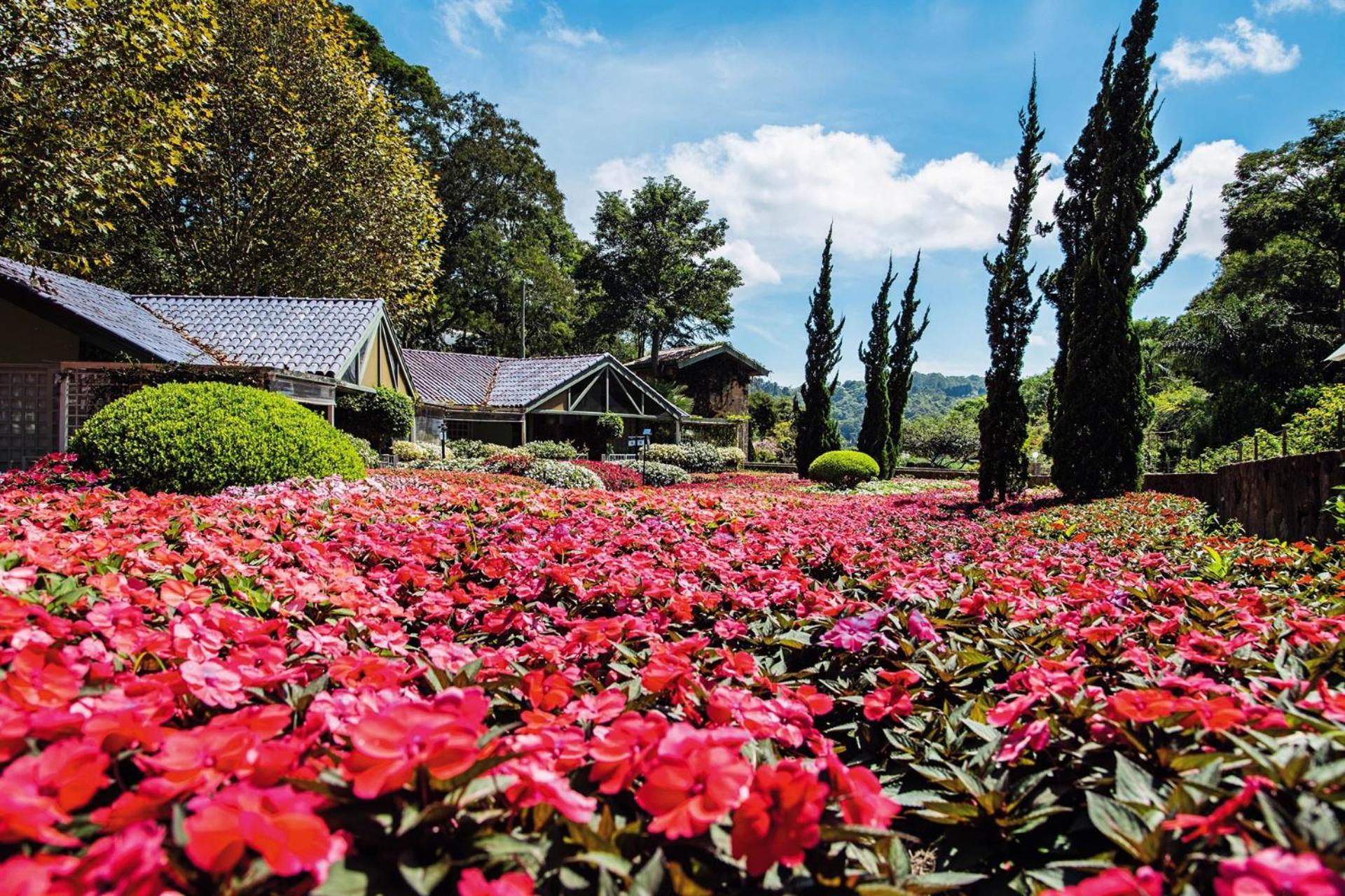 Unique Garden Hotel Mairipora Luaran gambar